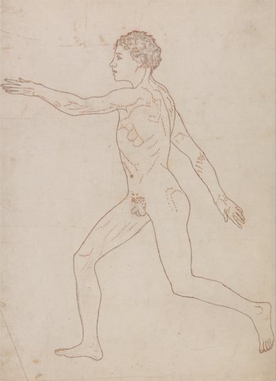 A Comparative Anatomical Exposition of the Structure of the Human Body with That of a Tiger and a Cow by George Stubbs